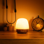 Havie Lamp