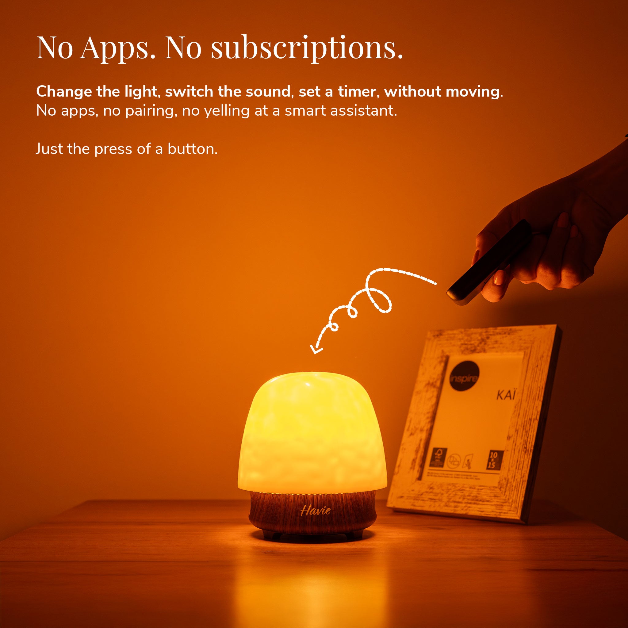 The Havie Lamp
